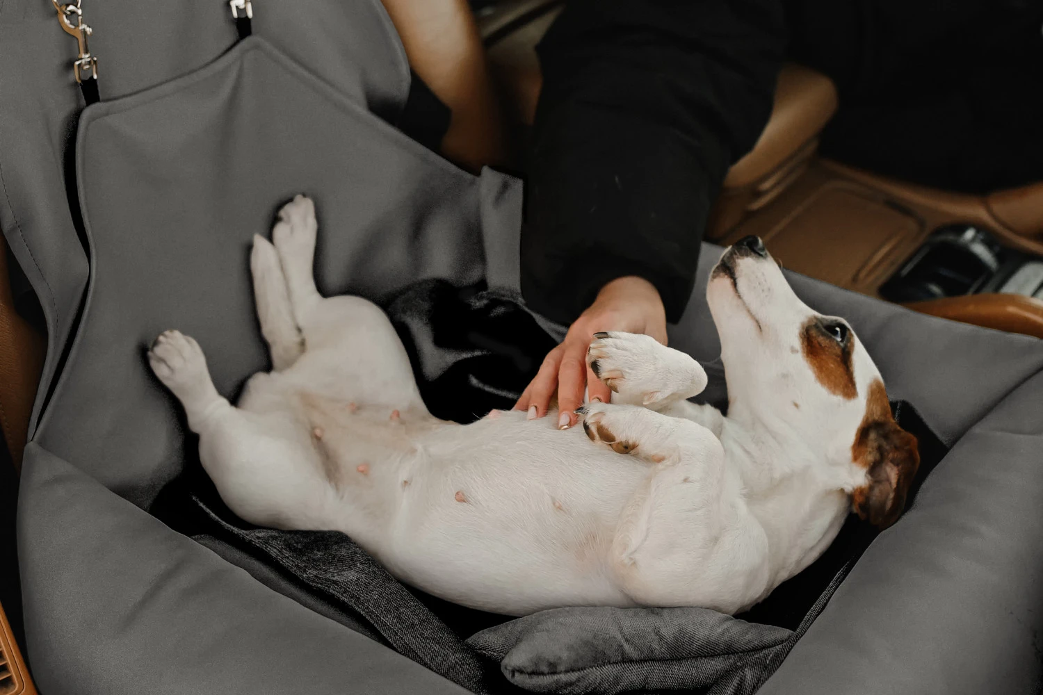Subaru Impreza Dog Car Seat for Miniature Bull Terriers
